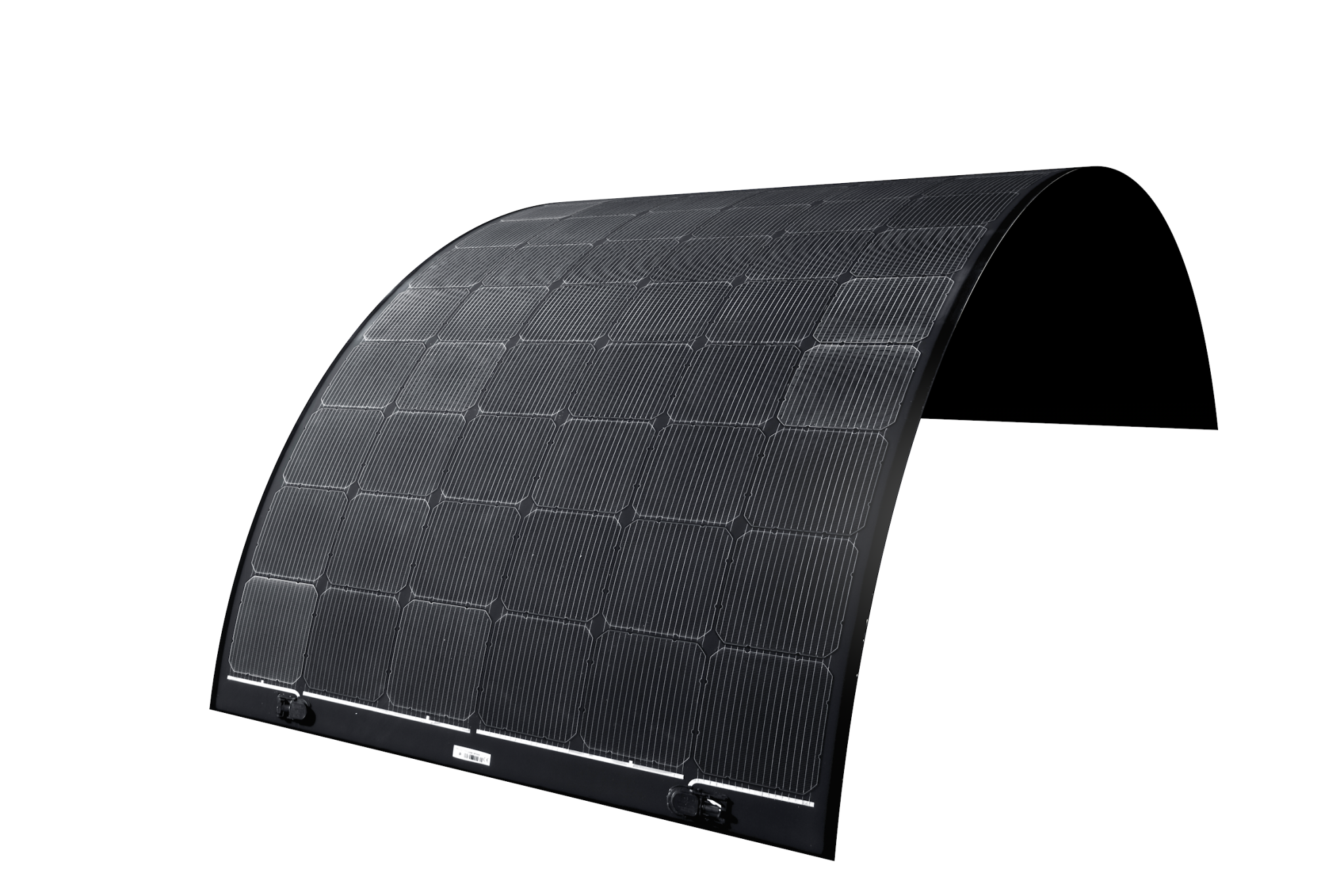 Midsummer BOLD Panel